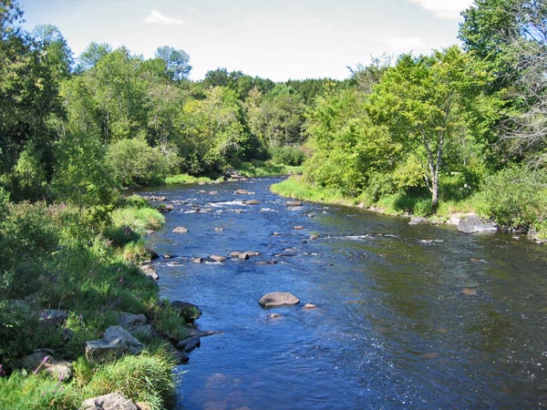 St. George River from bridge